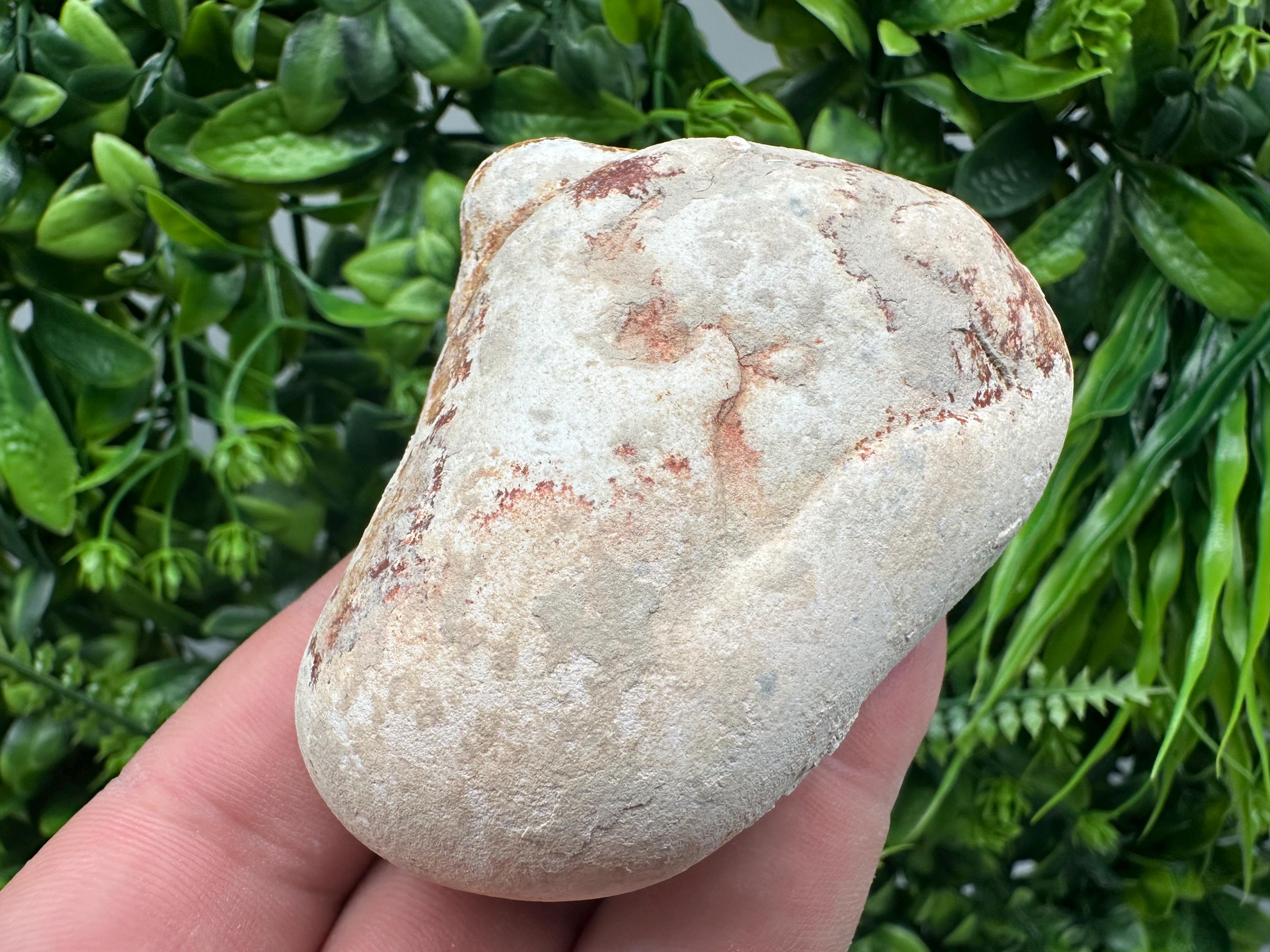 Menalite Crystal: White Fairy Stone, Moroccan A+ Grade