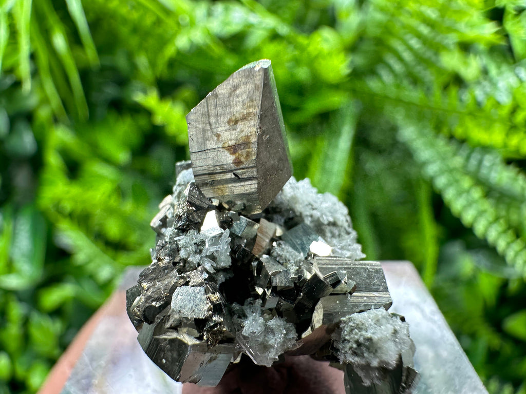 Golden Pyrite Cluster, Natural Crystal Mineral Souvenir