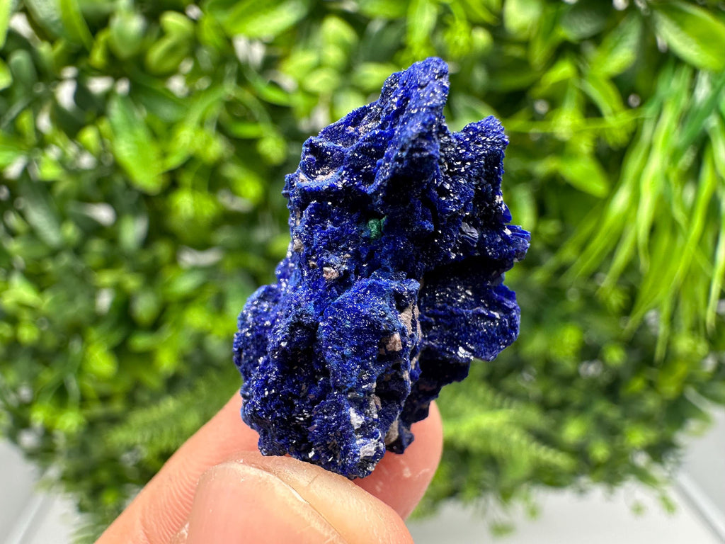 Crystallized Azurite-Kerrouchen,Morocco-Blue Azurite Specimen-High Quality Blue Azurite-Azurite Mineral Specimen, gemmy,lustrous of Azurite