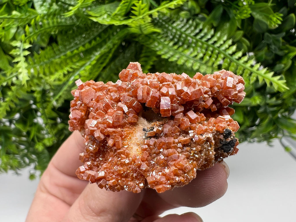 Red Vanadinite Crystal Cluster on Barite Matrix, Morocco Mineral Specimen