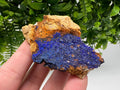 Azurite Malachite Mineral Specimen: Moroccan Blue-Green Crystal, Collector Stone