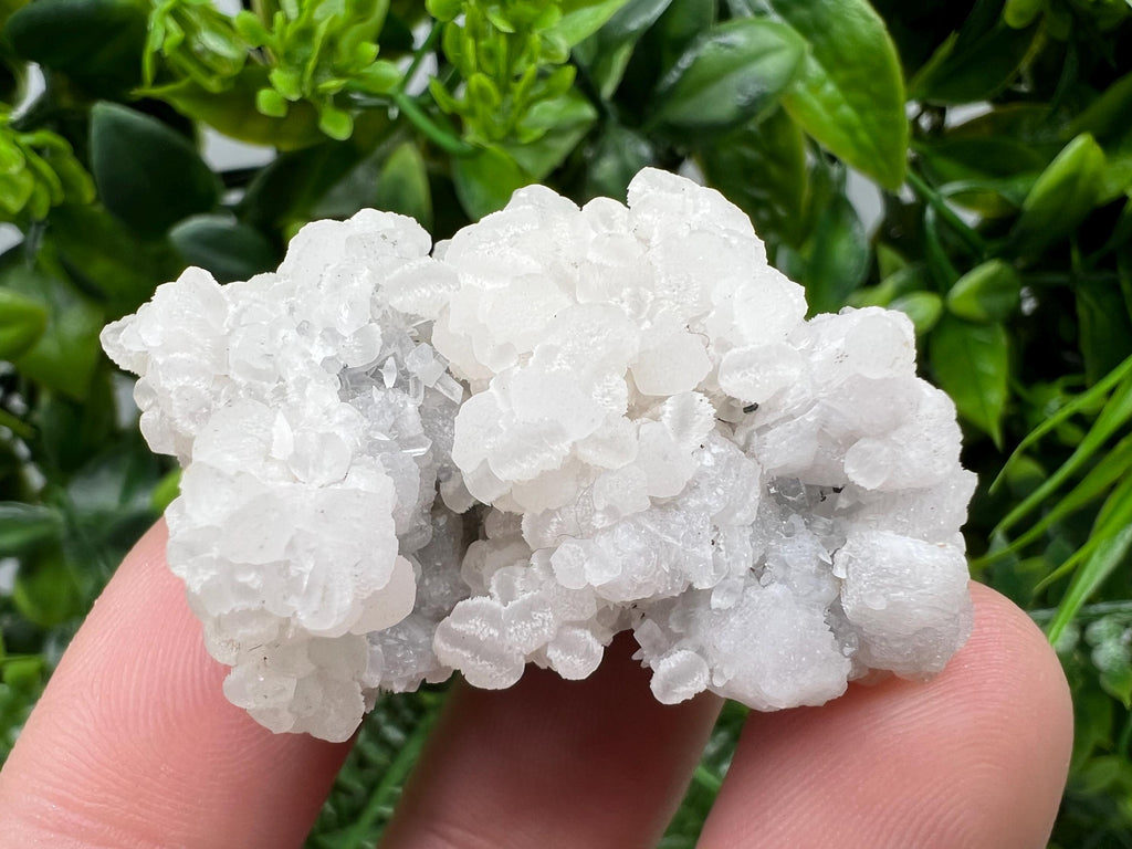 Mangano Calcite with Galena, Borieva Mine, Bulgaria