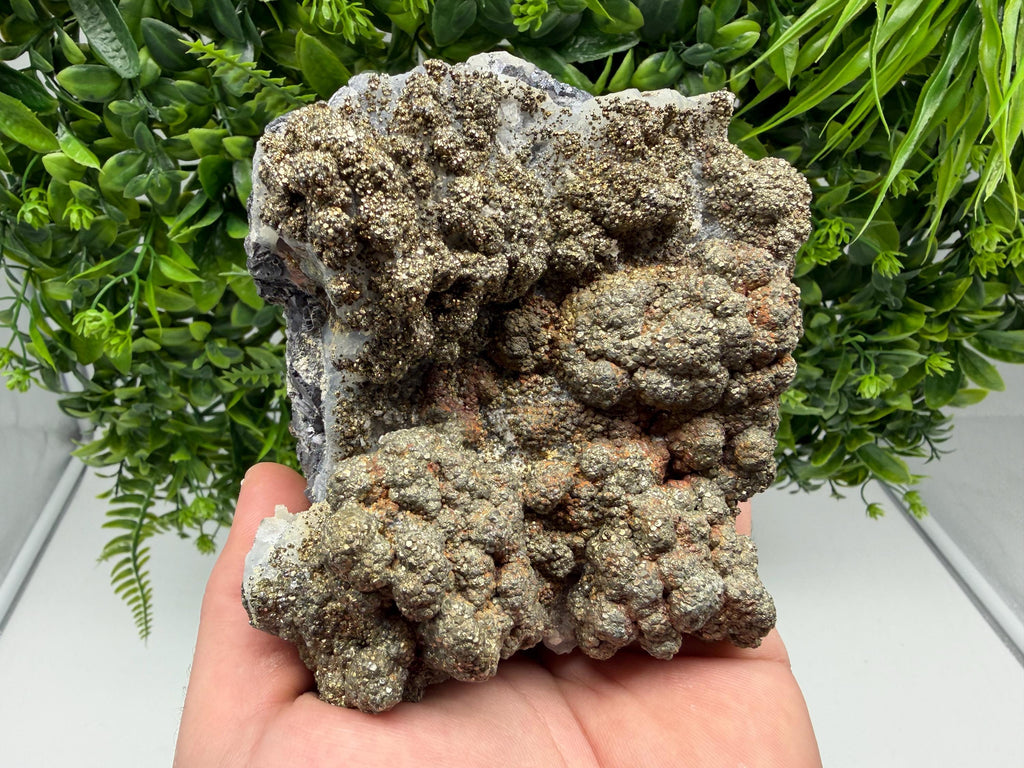 Marcasite on Chalcedony, Androvo Mine, Bulgaria