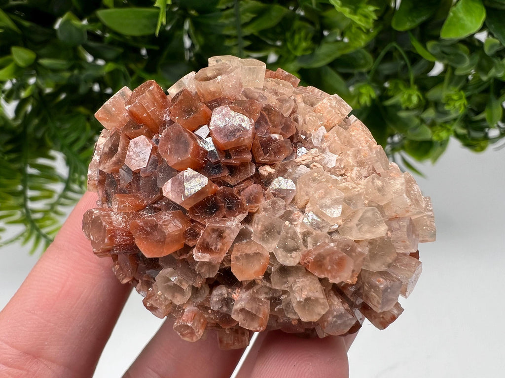 Aragonite Sputnik Cluster: Raw Moroccan Crystal Stone, Home Decor
