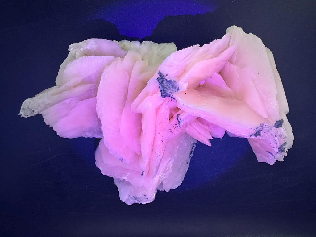 Mangano Calcite Wings on Chlorite Matrix, Bulgarian Mineral Specimen