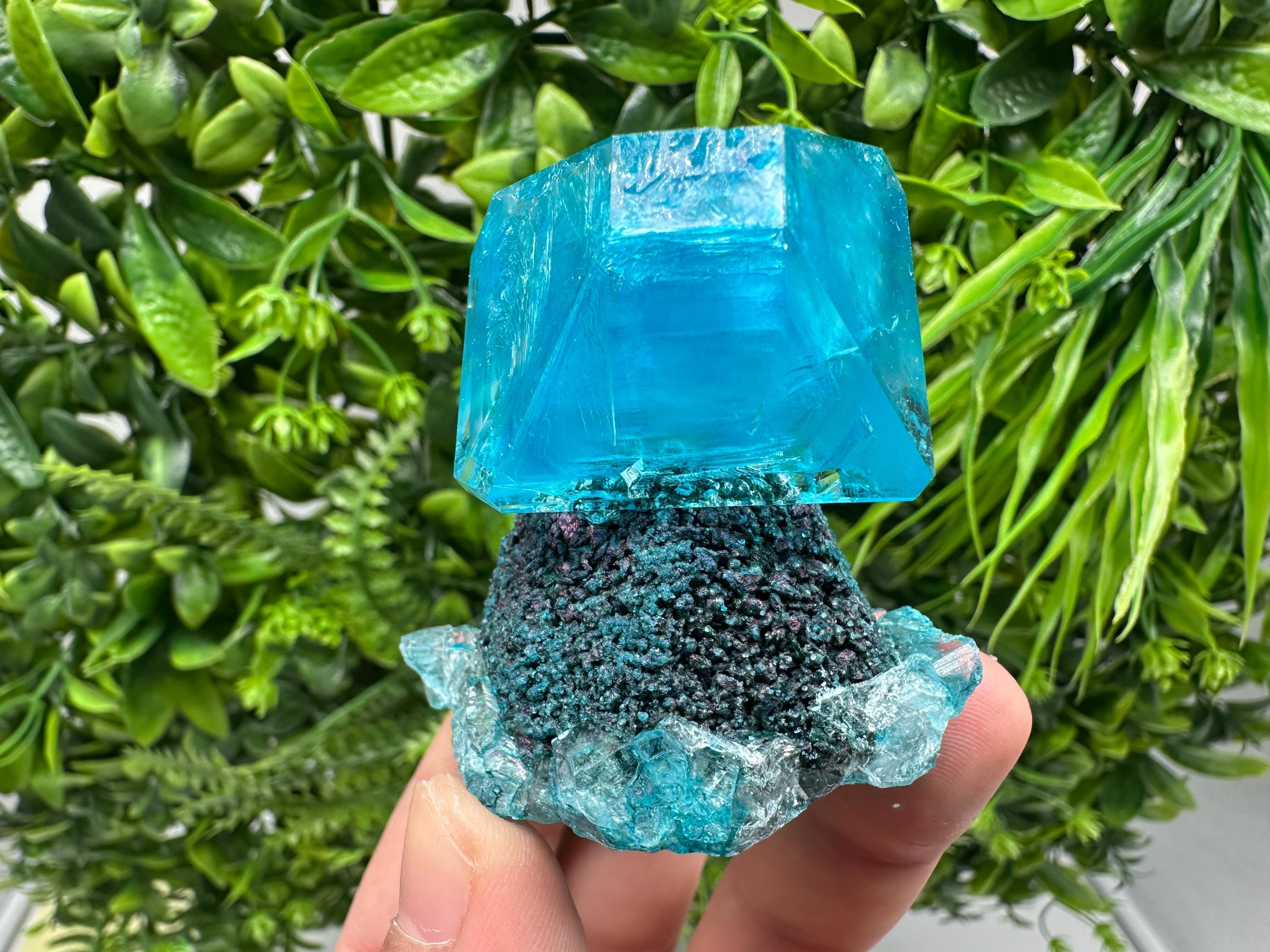 Exceptional Turquoise ALUNITE Aqua Crystal on Matrix UV Active, lab minerals