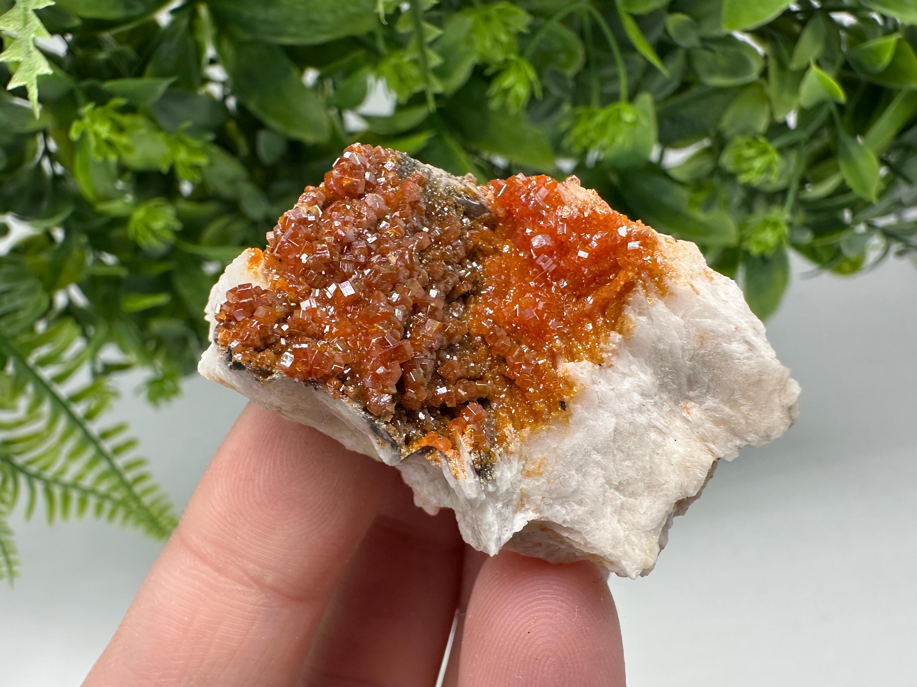 Red Vanadinite on Barite Cluster, Moroccan Mineral Specimen (5/3.5/2.5 cm)