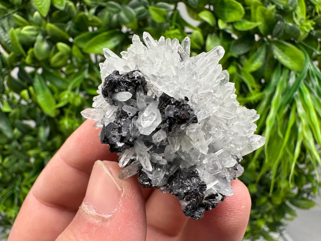 Wonderful Sphalerite Chalcopyrite on Green Quartz whit Hematite feom 9 th September mine,Bulgaria,natural,collection mineral specimen,gift