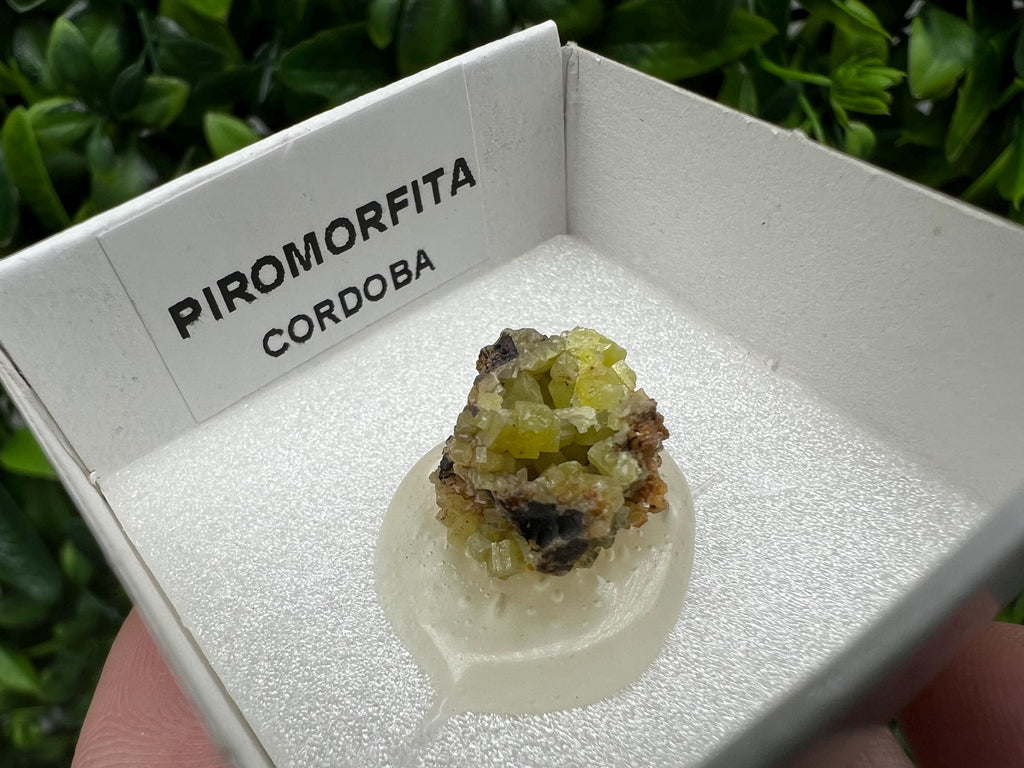 Pyromorphite Stone / Pyromorphite on Matrix / Pyromorphite Crystal / Raw Crystal / Pyromorphite Cluster / Rough Pyromorphite / Pyromorphite
