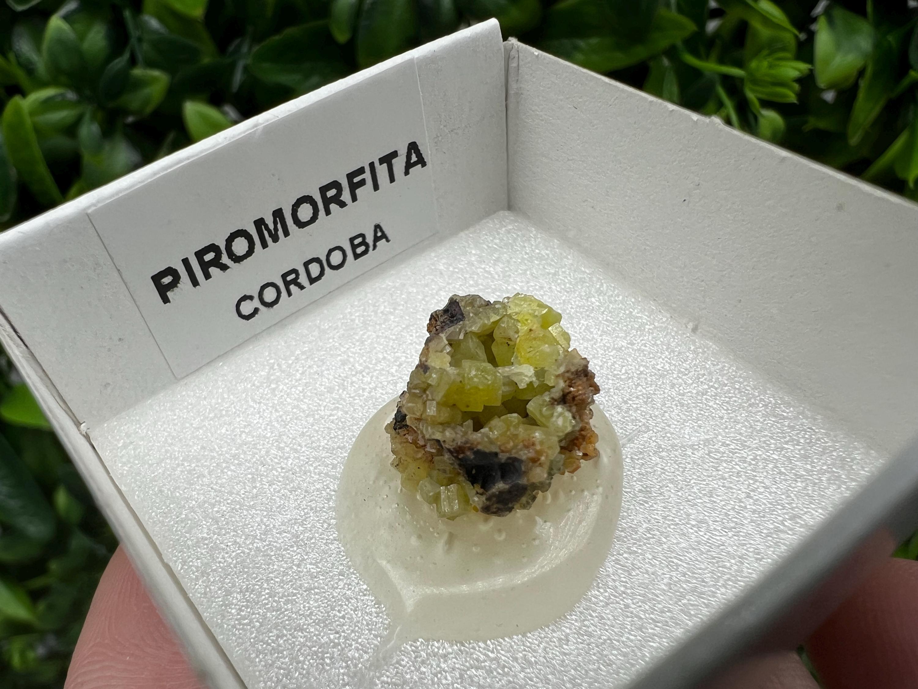 Pyromorphite Stone / Pyromorphite on Matrix / Pyromorphite Crystal / Raw Crystal / Pyromorphite Cluster / Rough Pyromorphite / Pyromorphite