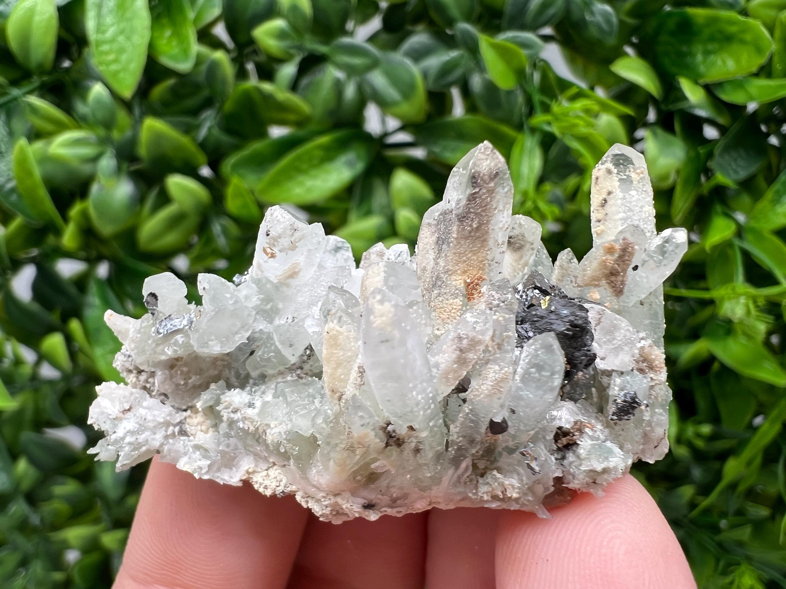 Transparent Quartz,Chlorite,Chalcopyrite Matrix,From Borieva mine,Madan,Bulgaria,Quartz,Quartz crystal,mineral specimen,collection quartz