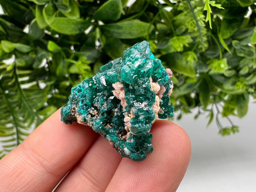 Stunning Green Dioptase from Sanda Hills,Mindouli,Pool Department,Mindouli District,Congo,green Dioptase,Dioptas Crystal,Dioptase collecting