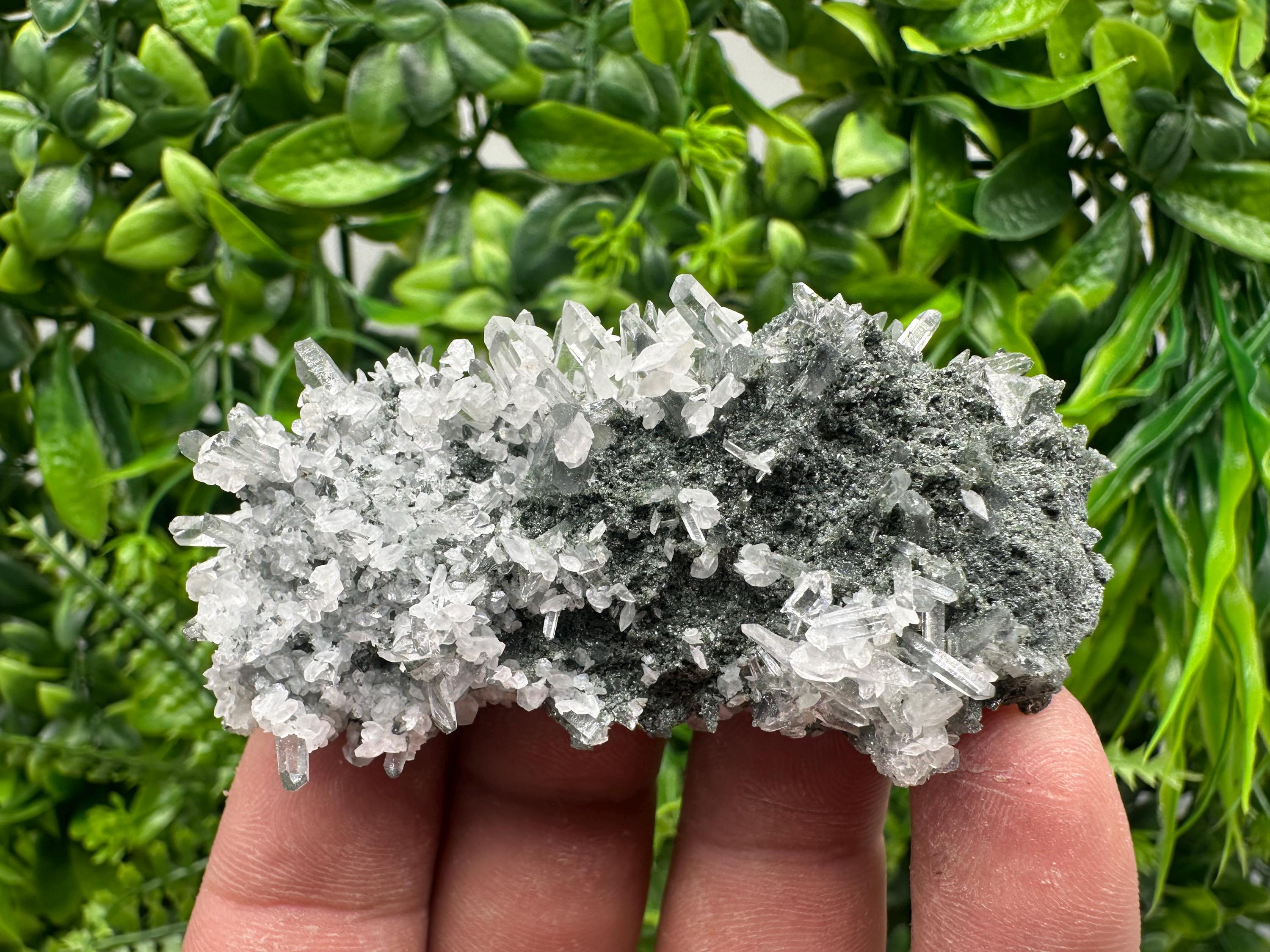 Transparent Quartz on Chlorite Matrix, Borieva Mine Mineral Specimen