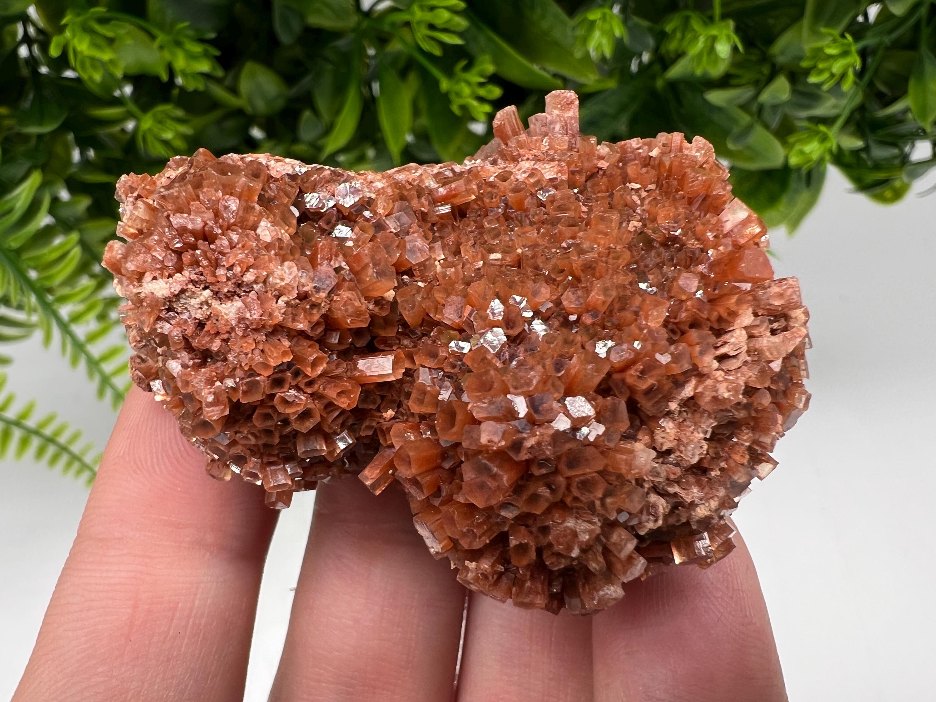 Large Aragonite Sputnik Cluster: Raw Moroccan Crystal Stone, Home Decor
