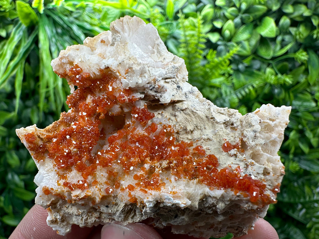 Red Vanadinite Crystal Cluster on Matrix, Morocco Mineral Specimen