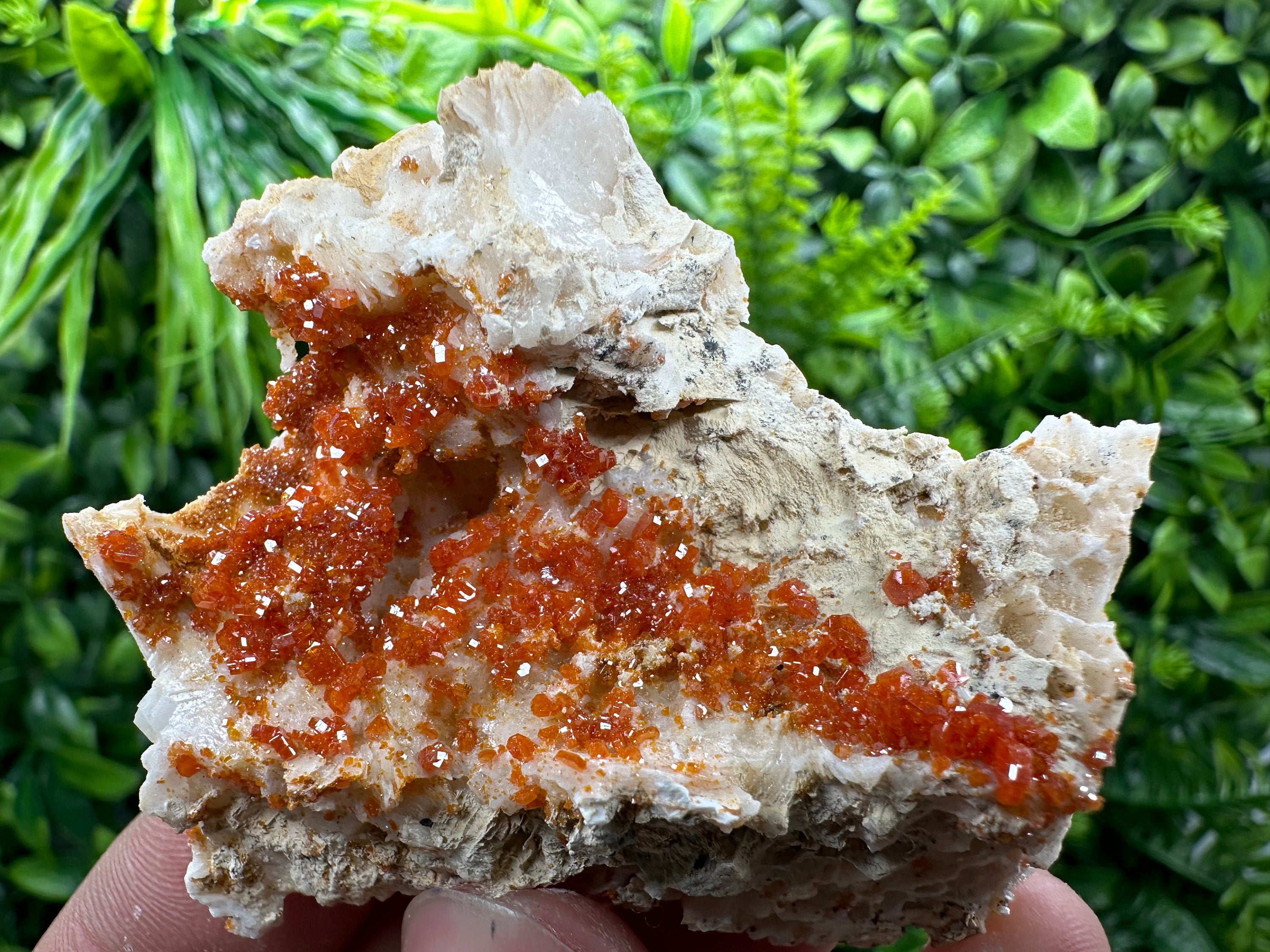 Red Vanadinite Crystal Cluster on Matrix, Morocco Mineral Specimen