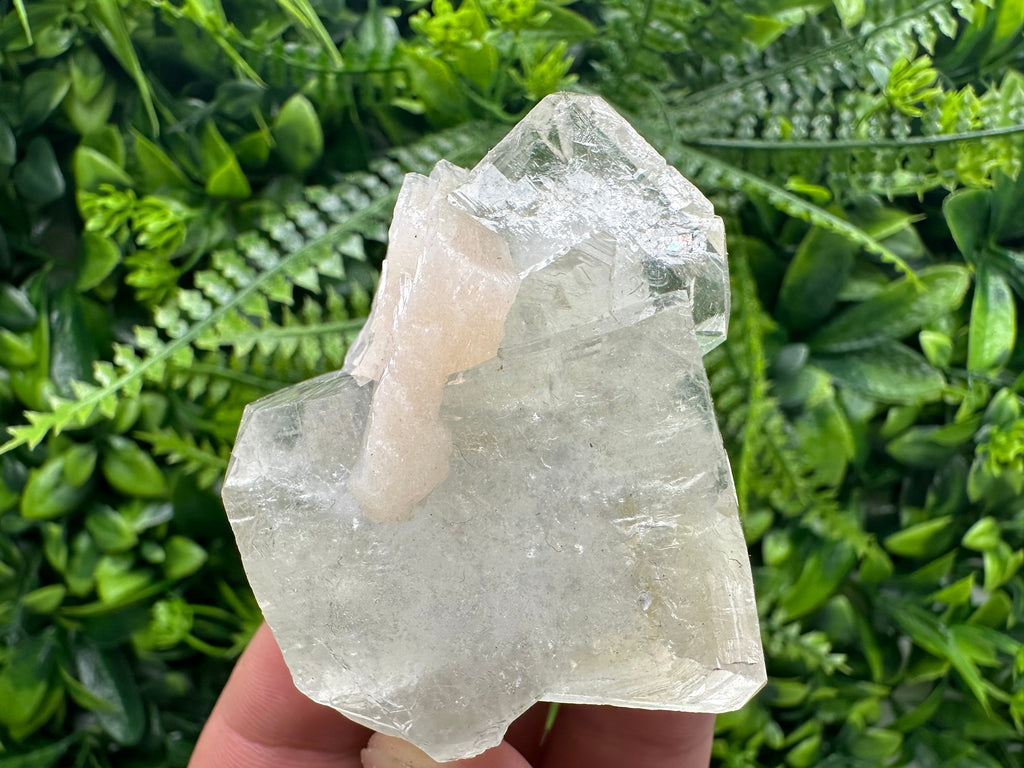 Apophyllite with Stilbite, India Mineral Specimen, Rare Crystal