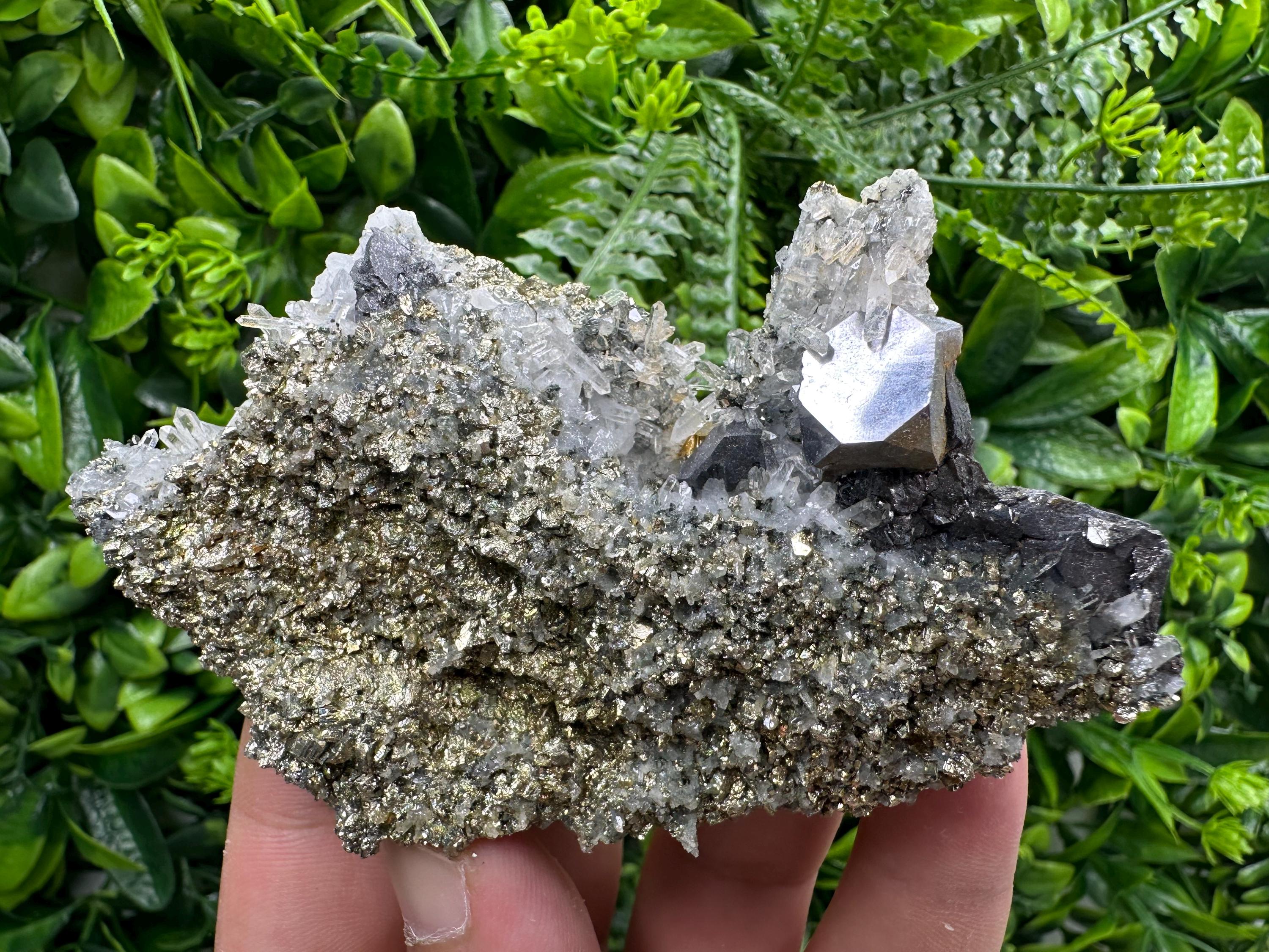 Galena with Quartz on Pyrite, Borieva Mine Mineral Specimen