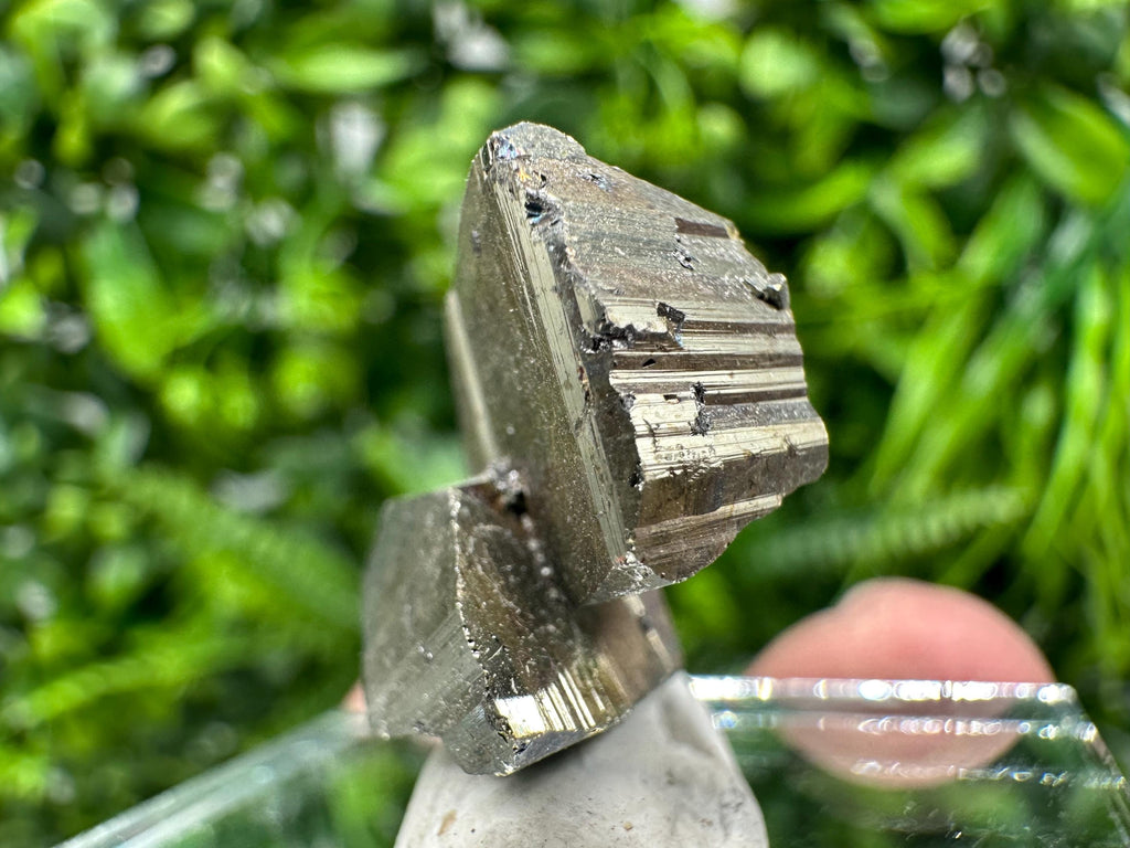 Mini Crystallization Pyrite Specimen, Borieva Mine, Bulgaria