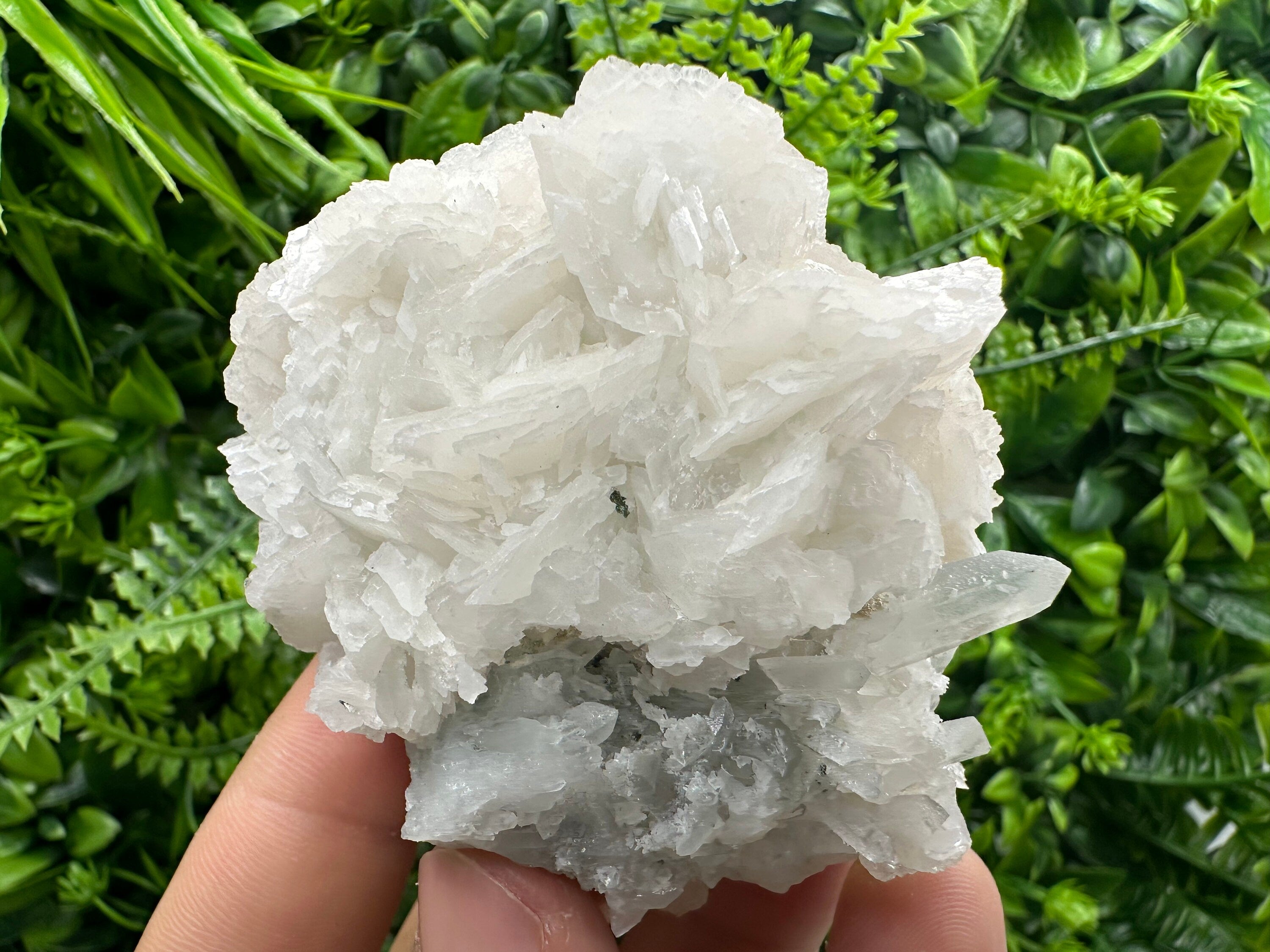 UV Calcite on Chlorite Matrix: Natural Mineral Specimen, Borieva Mine