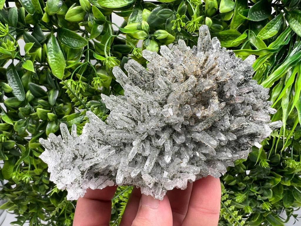 Quartz Rhodochrosite Cluster, Djurcovo Mine Mineral Specimen