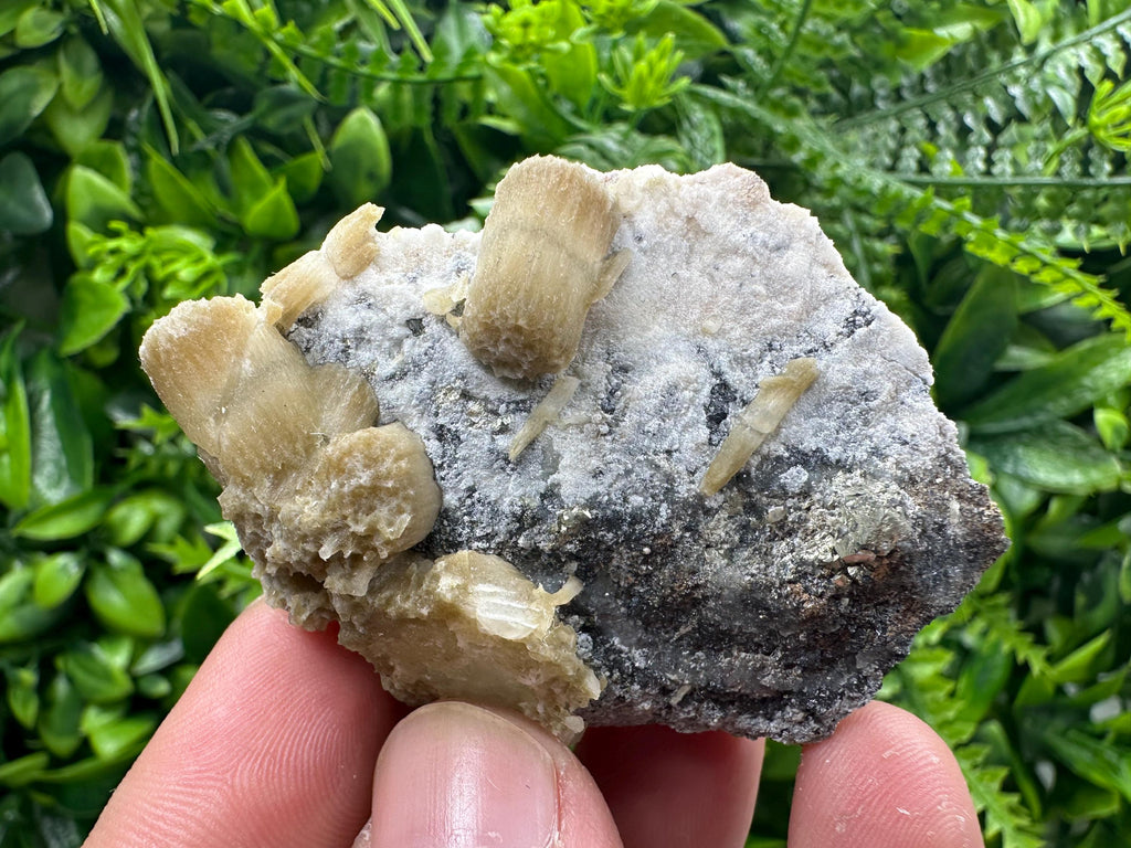 Rare Calcite Cluster on Matrix, Bulgarian Mineral Specimen