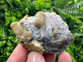 Rare Calcite Cluster on Matrix, Bulgarian Mineral Specimen