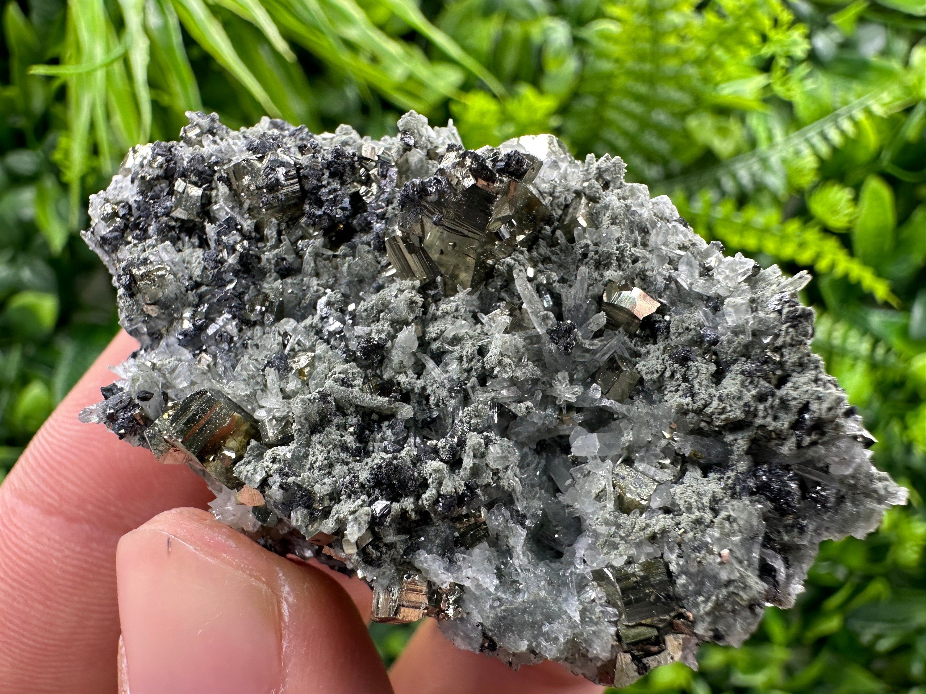 Pyrite on Quartz Needles, Borieva Mine Bulgaria, Natural Mineral Specimen