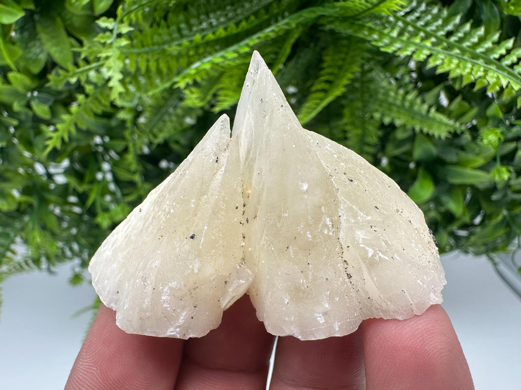 Calcite on Aragonite: Djurcovo Mine, Bulgaria Healing Crystal
