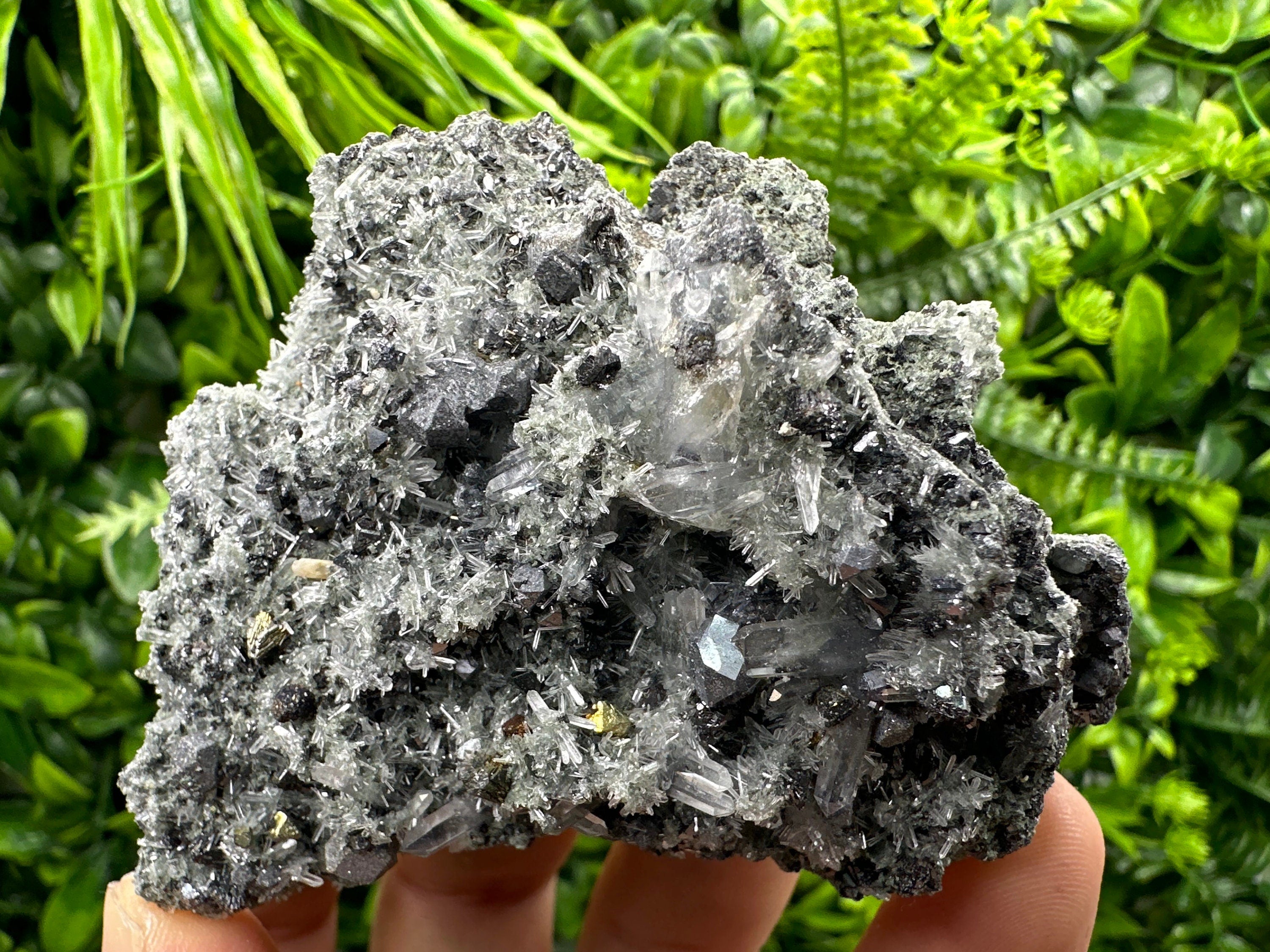 Chalcopyrite Galena on Quartz with Chlorite, Bulgaria Mineral Specimen