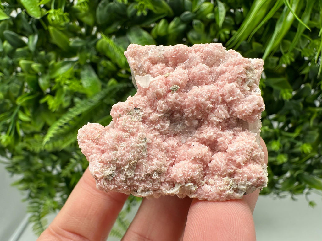 Pink Rhodochrosite Crystal: Starnica Mine, Bulgaria, Home Decor