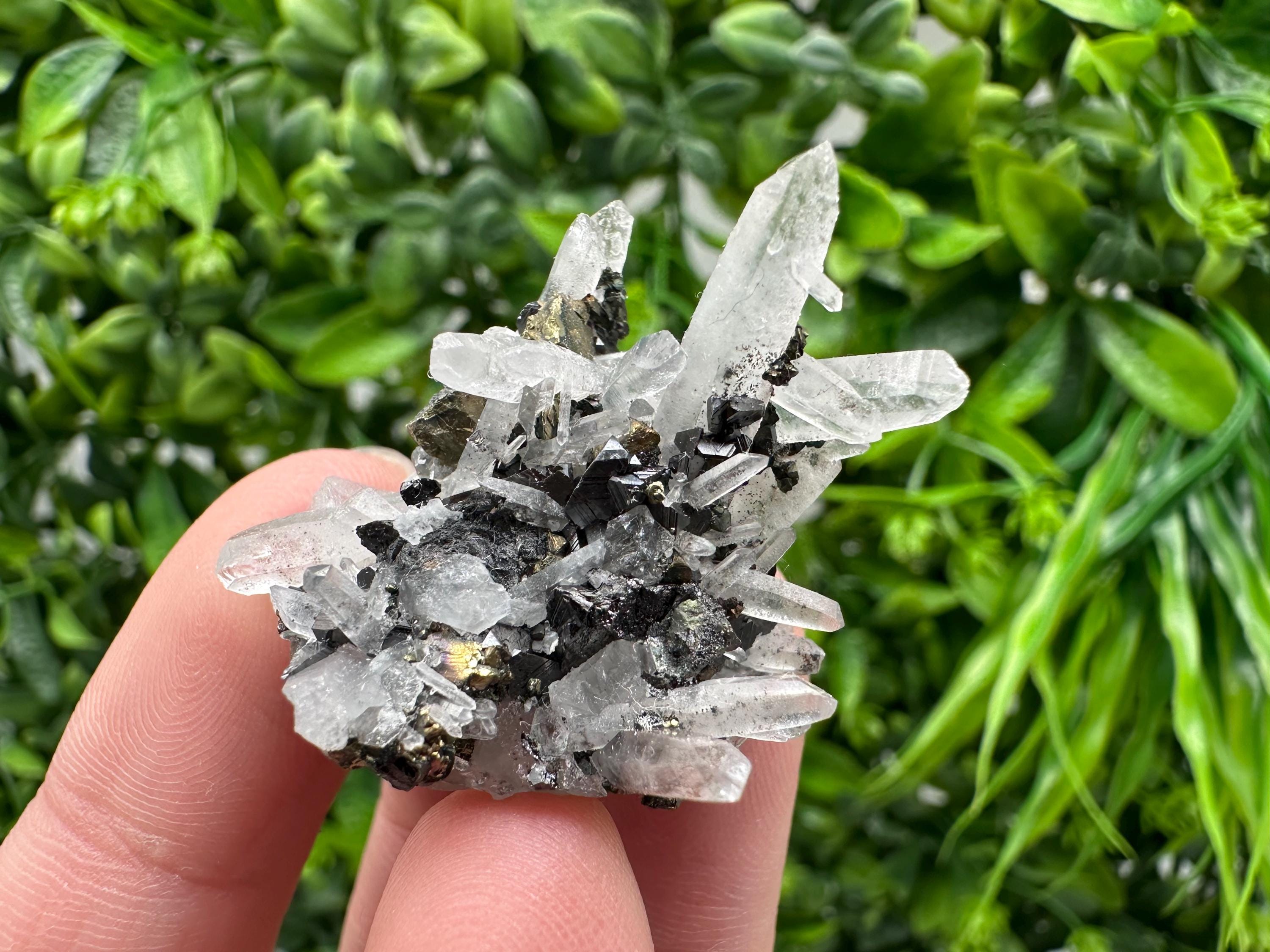 Wonderful Sphalerite Chalcopyrite on  Quartz whit Galena feom 9 th September mine,Bulgaria,natural,collection mineral specimen,gift