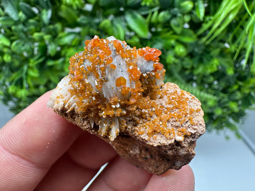 Red Vanadinite on Barite from Marocco,crystal minerals Speciment cluster Vanadinite crystal Vanadinite Geology Vanadinite cluster minerals