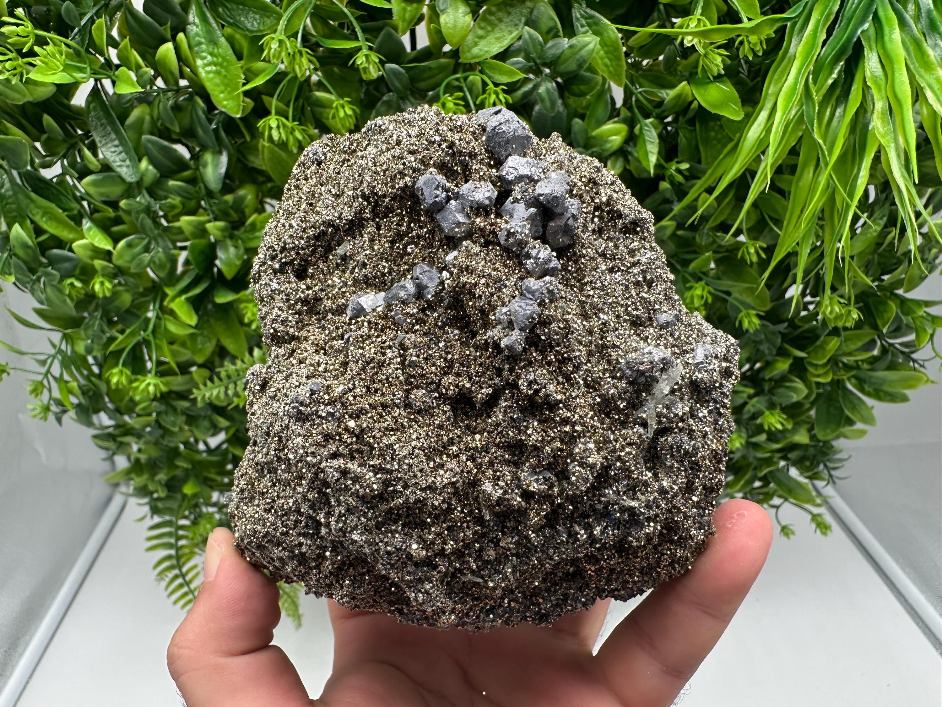 Mirror Galena Pyrite Specimen, Borieva Mine, Bulgaria