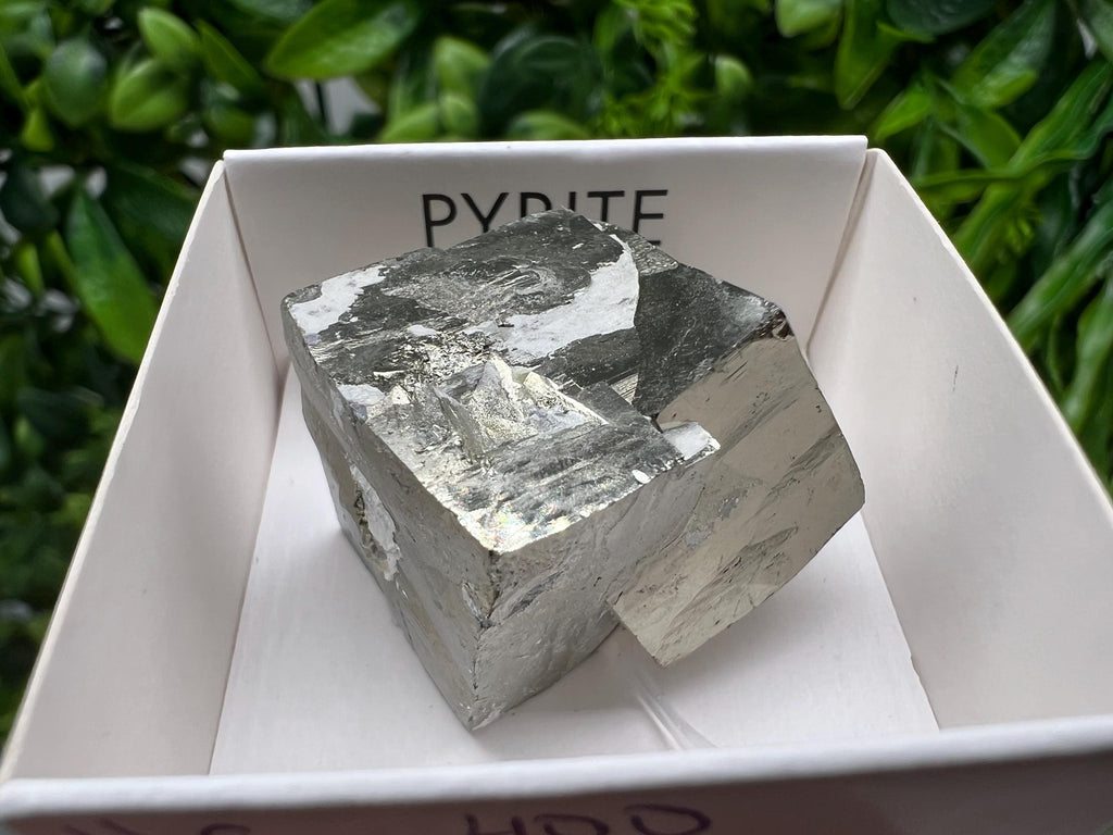 Navajun Pyrite Cube: Interjoined Gold Mineral Specimen, La Rioja Spain
