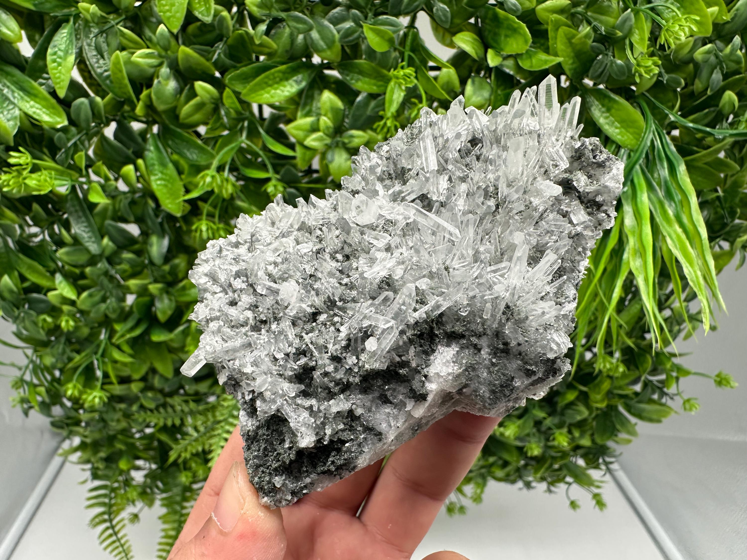 Wonderful Transparent Quartz on Chlorite Matrix,From Borieva mine,Madan,Bulgaria,Quartz,Quartz crystal,mineral specimen,collection quartz