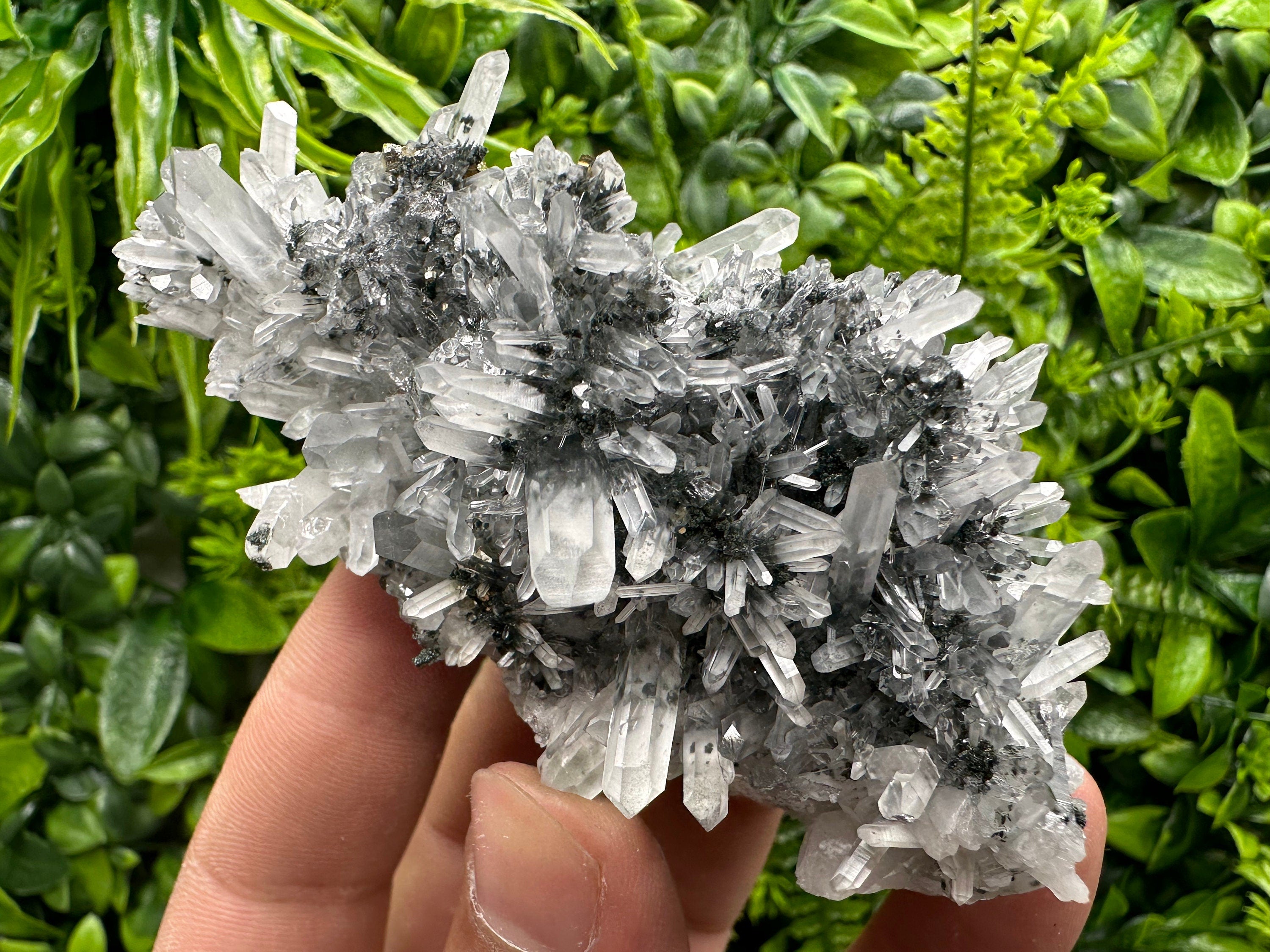 Pyrite Hematite Quartz Calcite Crystal Mineral Specimen