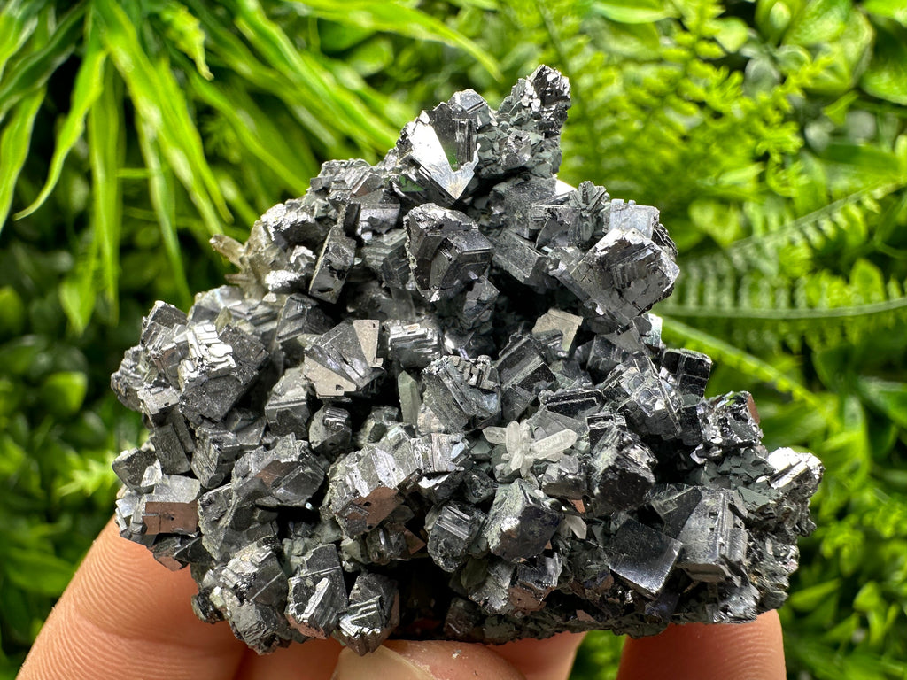 Skeletal Galena Mirror Crystal, Drujba Mine, Bulgaria
