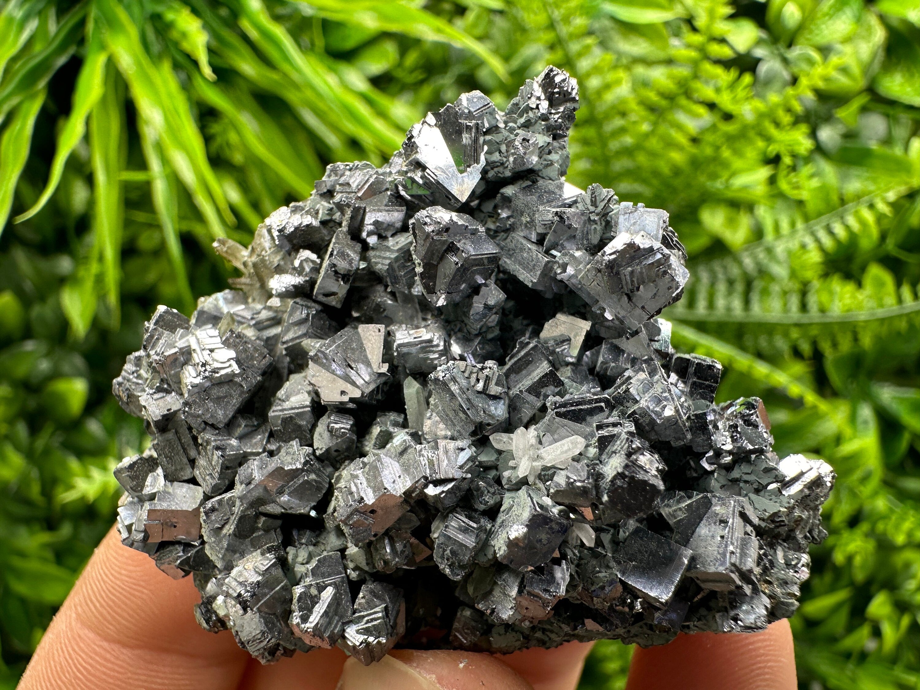 Skeletal Galena Mirror Crystal, Drujba Mine, Bulgaria