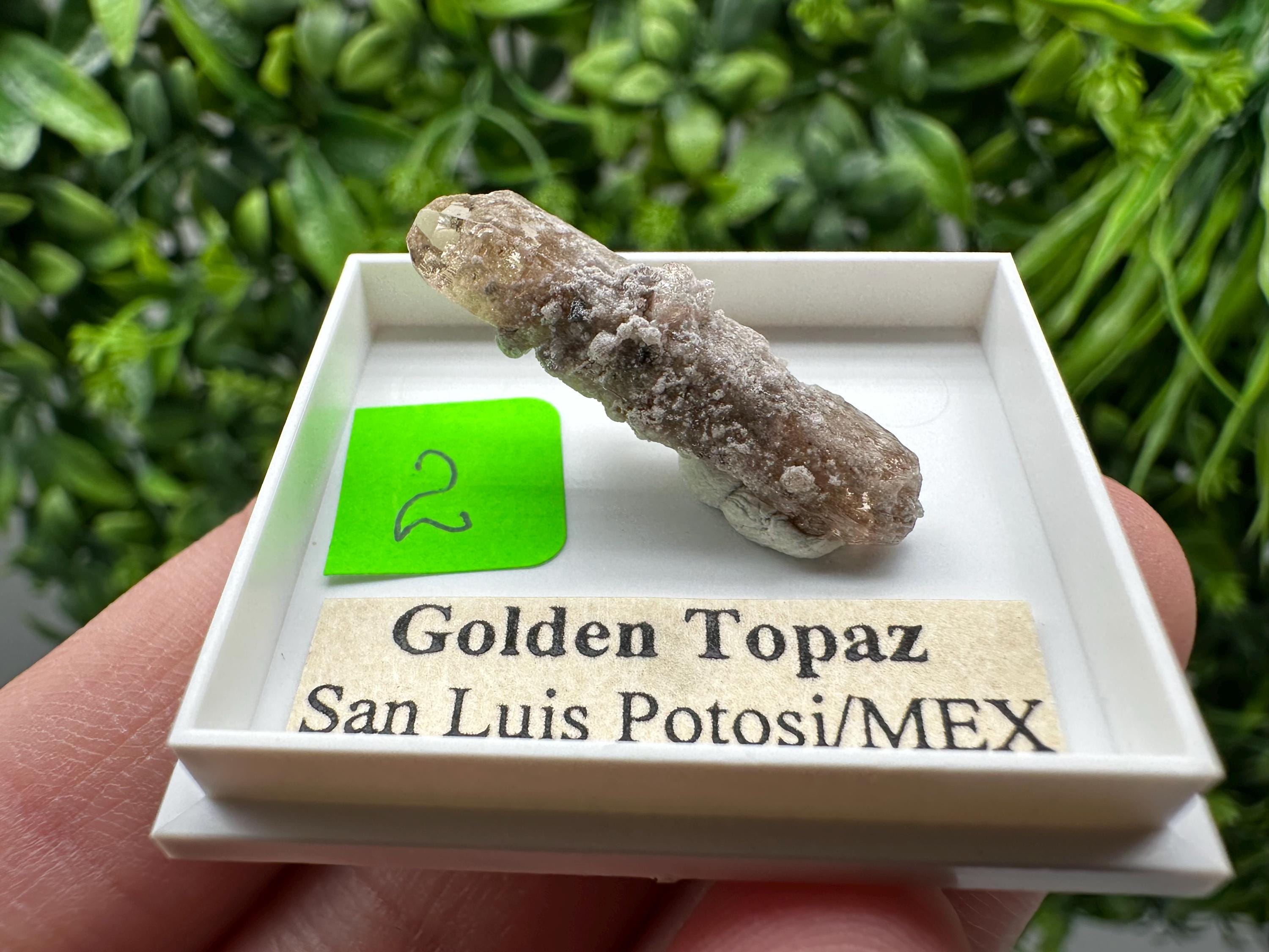 Golden Topaz Crystal, Mineral Specimen from Mexico