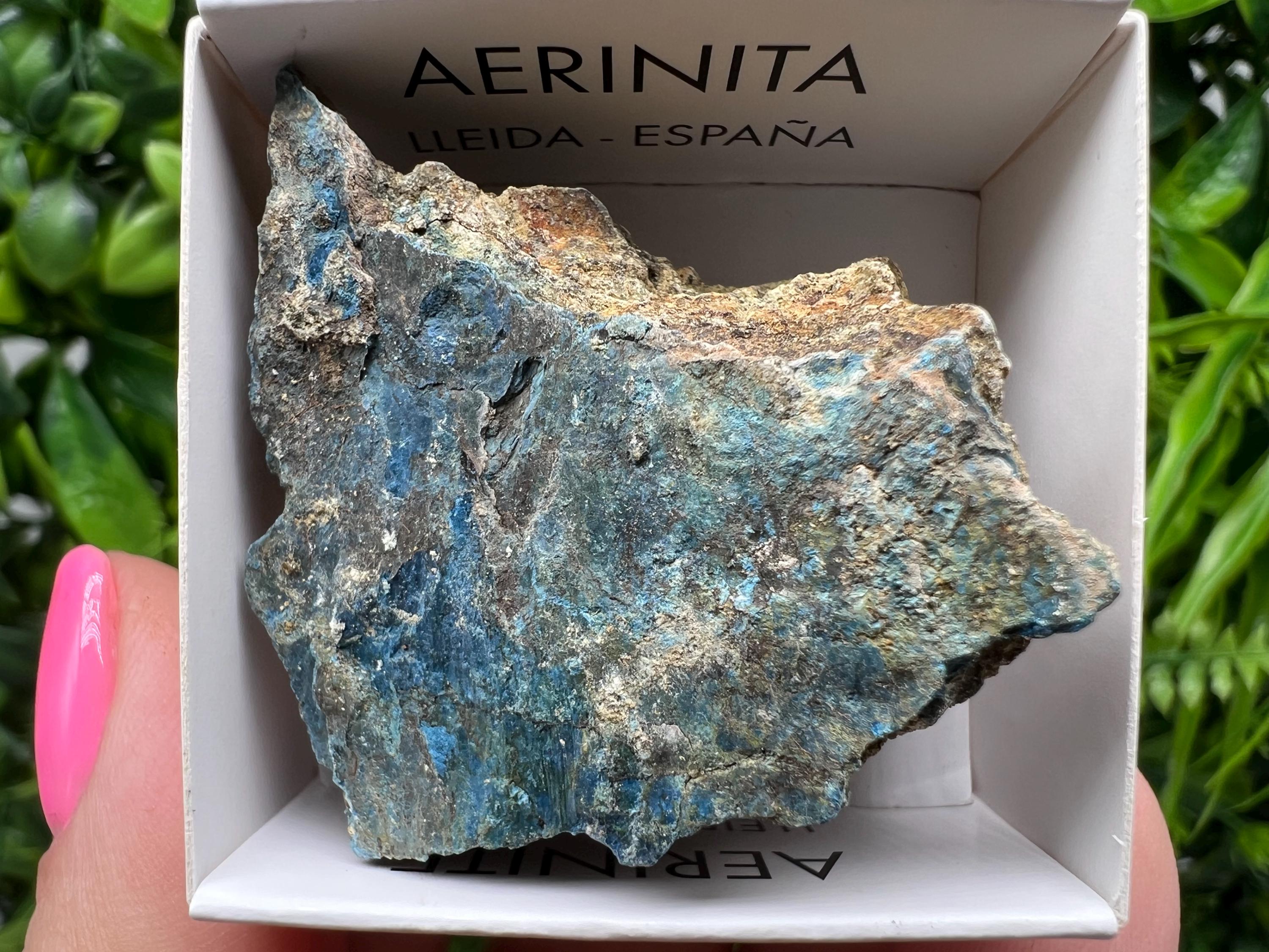 Rare Raw Aerinite Mineral Specimen: Lleida Spain Crystal Collection