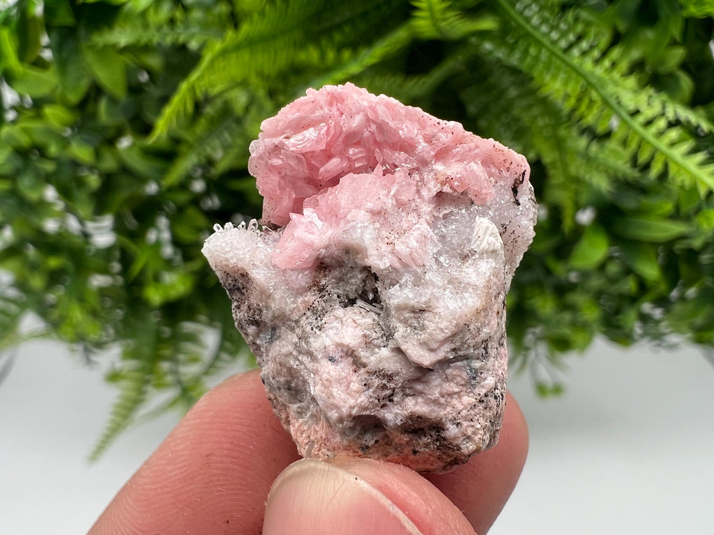Rhodochrosite on Quartz: Pink Mineral Specimen, Starnica Mine, Bulgaria