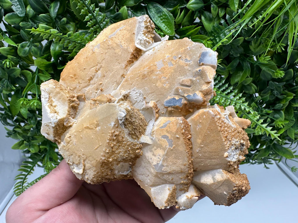 Limonite Coated Quartz Crystal, Djurcovo Mine, Bulgaria