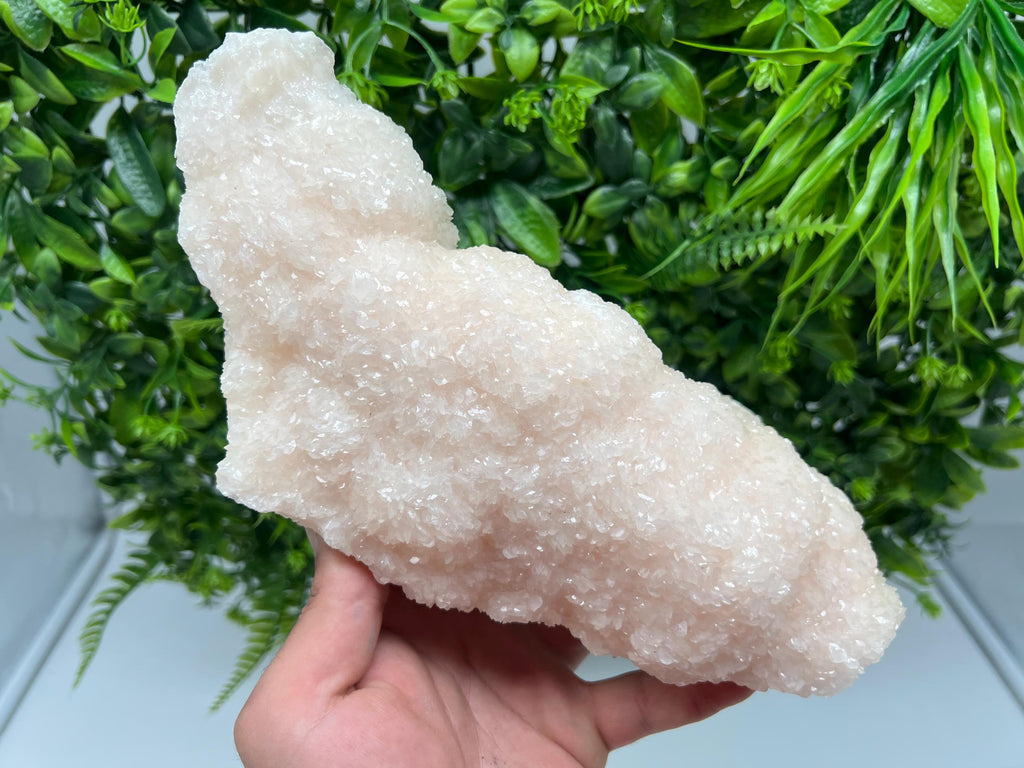 Large Mangano Calcite with Galena, Borieva Mine Crystal