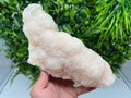 Large Mangano Calcite with Galena, Borieva Mine Crystal