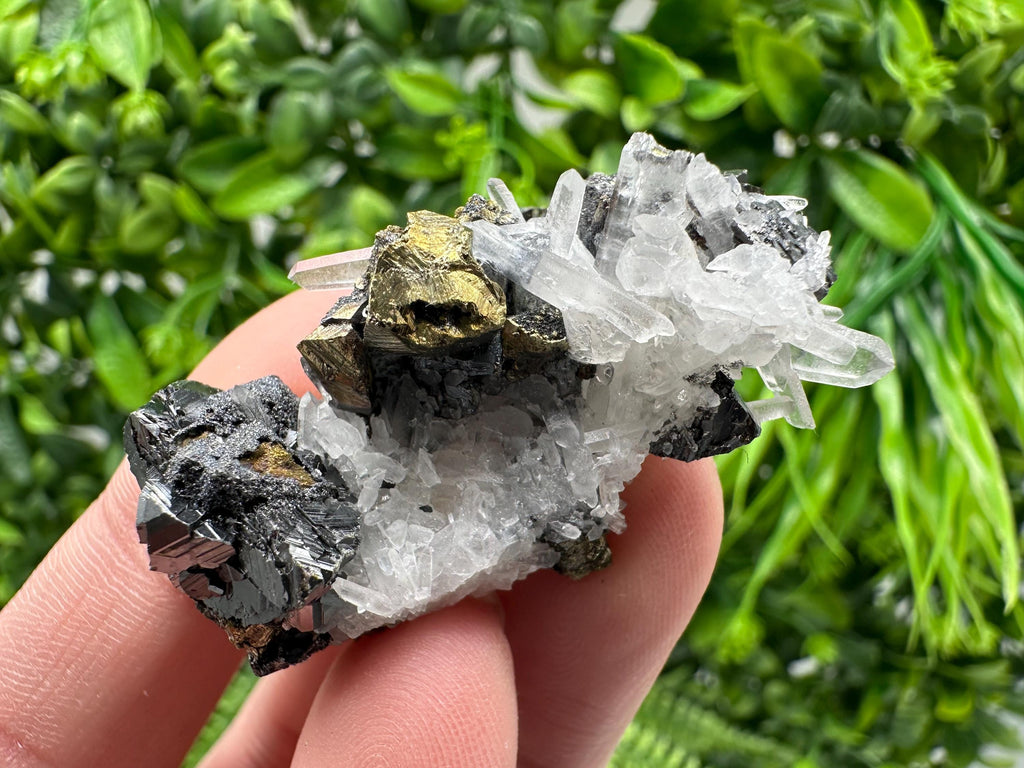 Wonderful Sphalerite Chalcopyrite on  Quartz whit Galena feom 9 th September mine,Bulgaria,natural,collection mineral specimen,gift