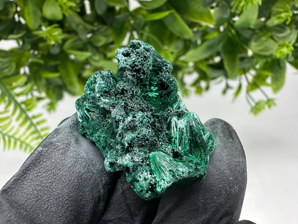 Malachite Crystal from Congo,Minerals,Crystals from Congo,Green Malachite, Malachite,Natural Malachite,Malachite Stone,Chakra, Specimens