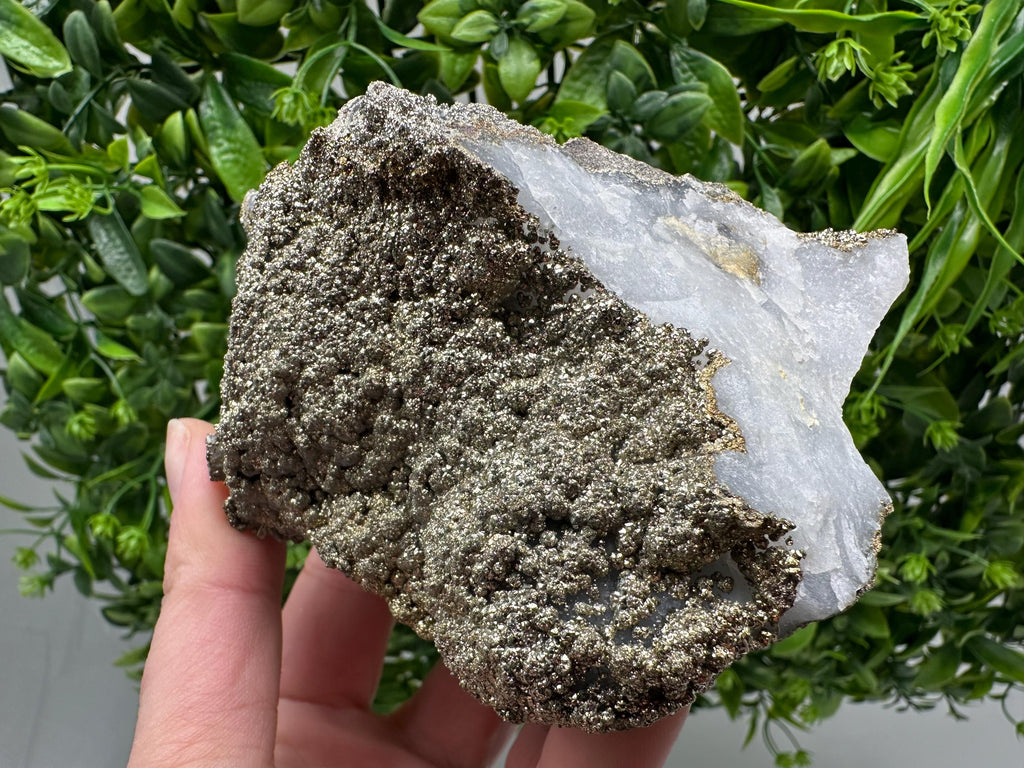 Marcasite Cluster on Chalcedony, Bulgaria Mineral Specimen