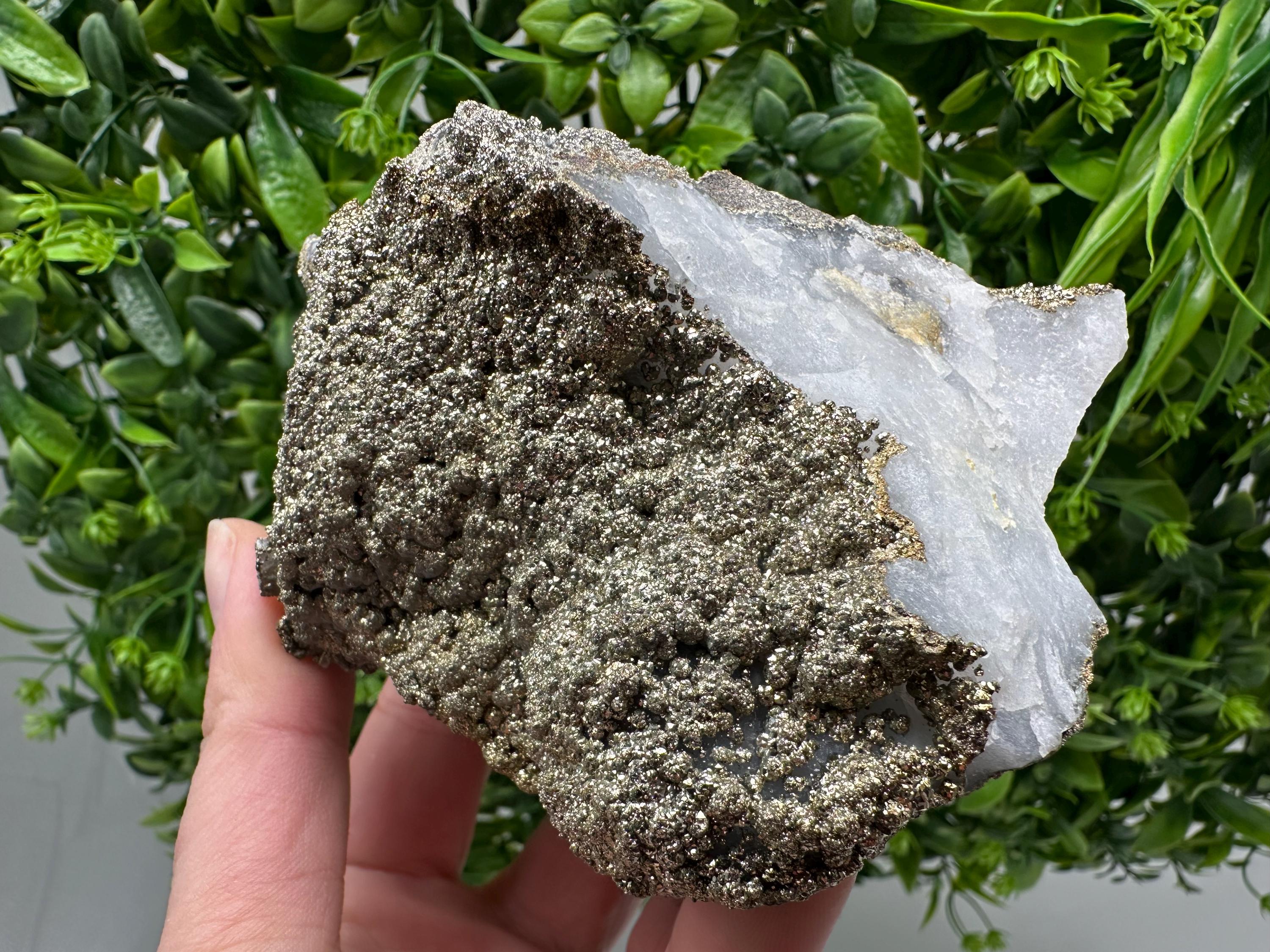 Marcasite Cluster on Chalcedony, Bulgaria Mineral Specimen
