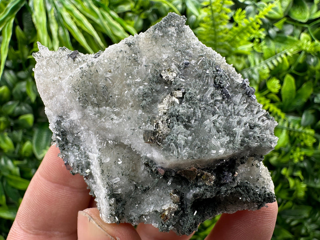 Pyrite on Green Quartz Mineral Specimen, Borieva Mine Bulgaria